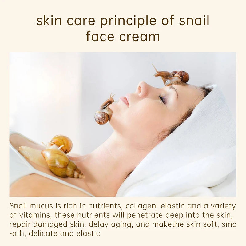 AUQUEST Snail Face Cream Collagen Whitening Moisturizing Wrinkle Cream Firming Anti Aging Acne Treatment Face Care 30g